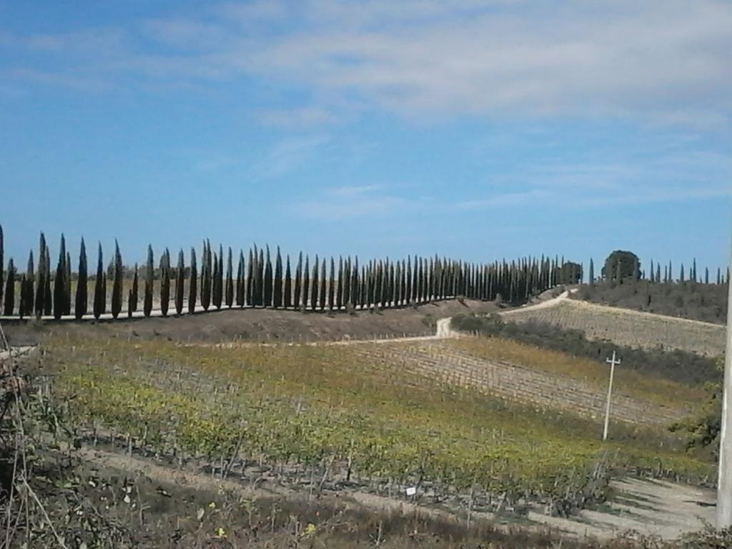 Cisterna Nel Borgo Hotel Castiglione dʼOrcia Buitenkant foto